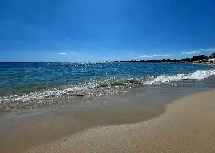 Endless Summer