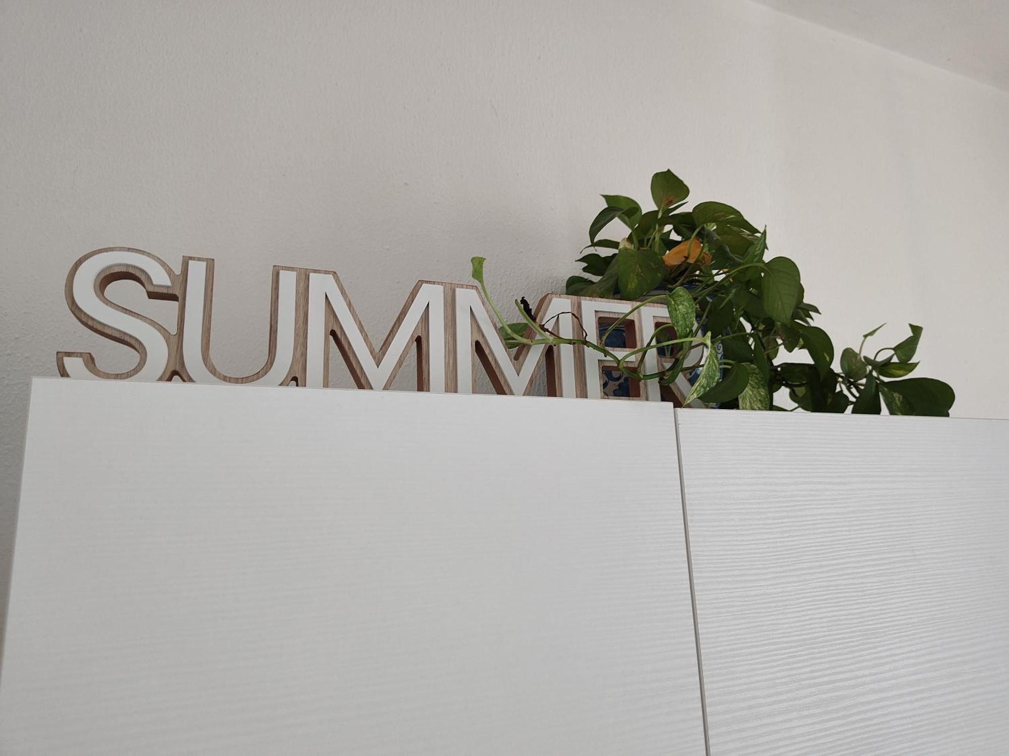Endless Summer *