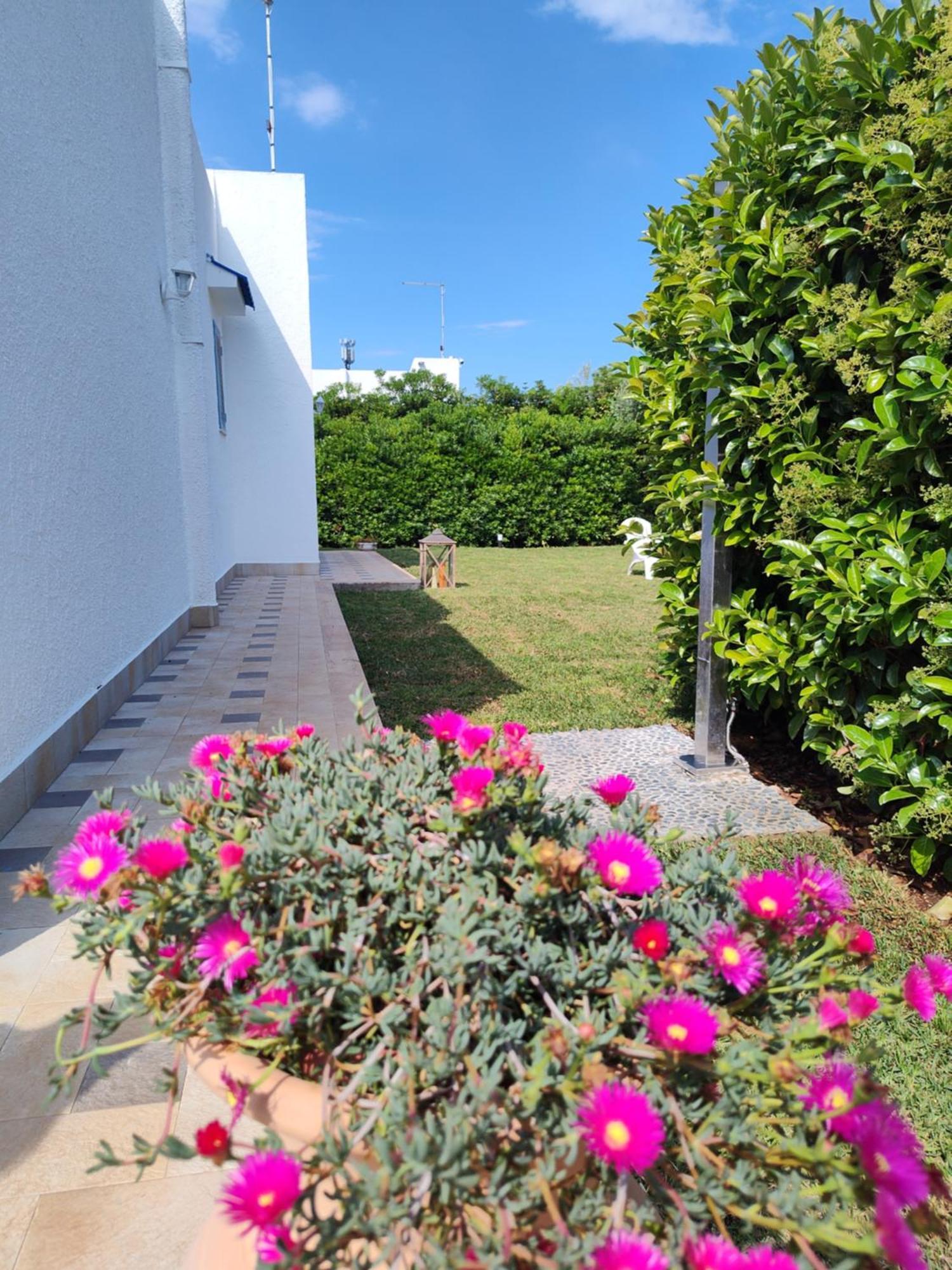 Holiday home Endless Summer