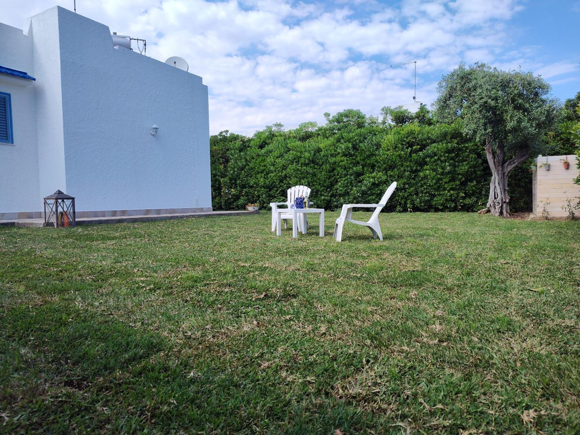 Endless Summer *